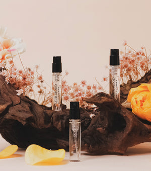 DAILY COMMA Signature Perfume Discovery Set 9.9ml – Set de Fragancias de Nicho con Notas Sensoriales Variadas