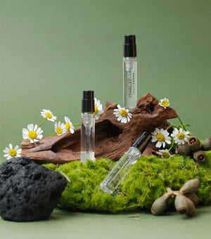 DAILY COMMA Signature Perfume Discovery Set 9.9ml – Set de Fragancias de Nicho con Notas Sensoriales Variadas