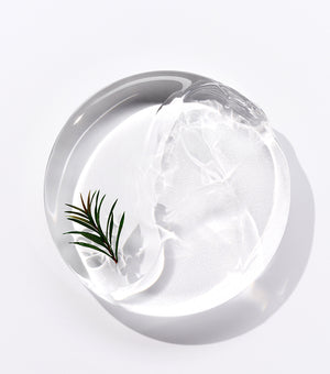 BRING GREEN | Aloe 97% Soothing Gel 300ml – Gel Hidratante y Calmante con Aloe Vera de Jeju.