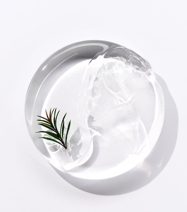 BRING GREEN | Aloe 97% Soothing Gel 300ml – Gel Hidratante y Calmante con Aloe Vera de Jeju.
