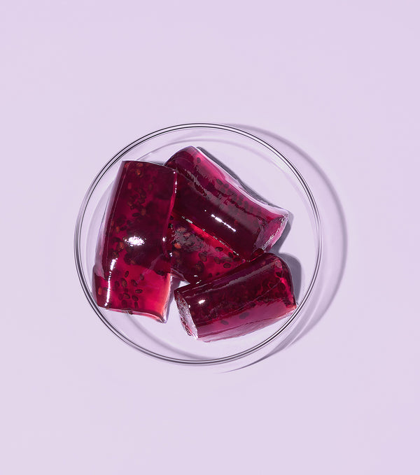 FOODOLOGY Coleology Bowel Movement Jelly 10 Sticks – Suplemento Digestivo y Control de Peso con Extractos Botanicos