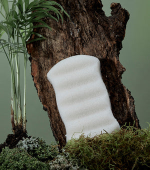 Esponja Corporal Blanca